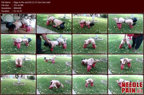 Piggy in the yard 02.13.17 Live Cam.t m - Piggy in the yard 02.13.17 - Rachel Greyhound - Bondagelife